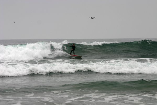 Go Dude!